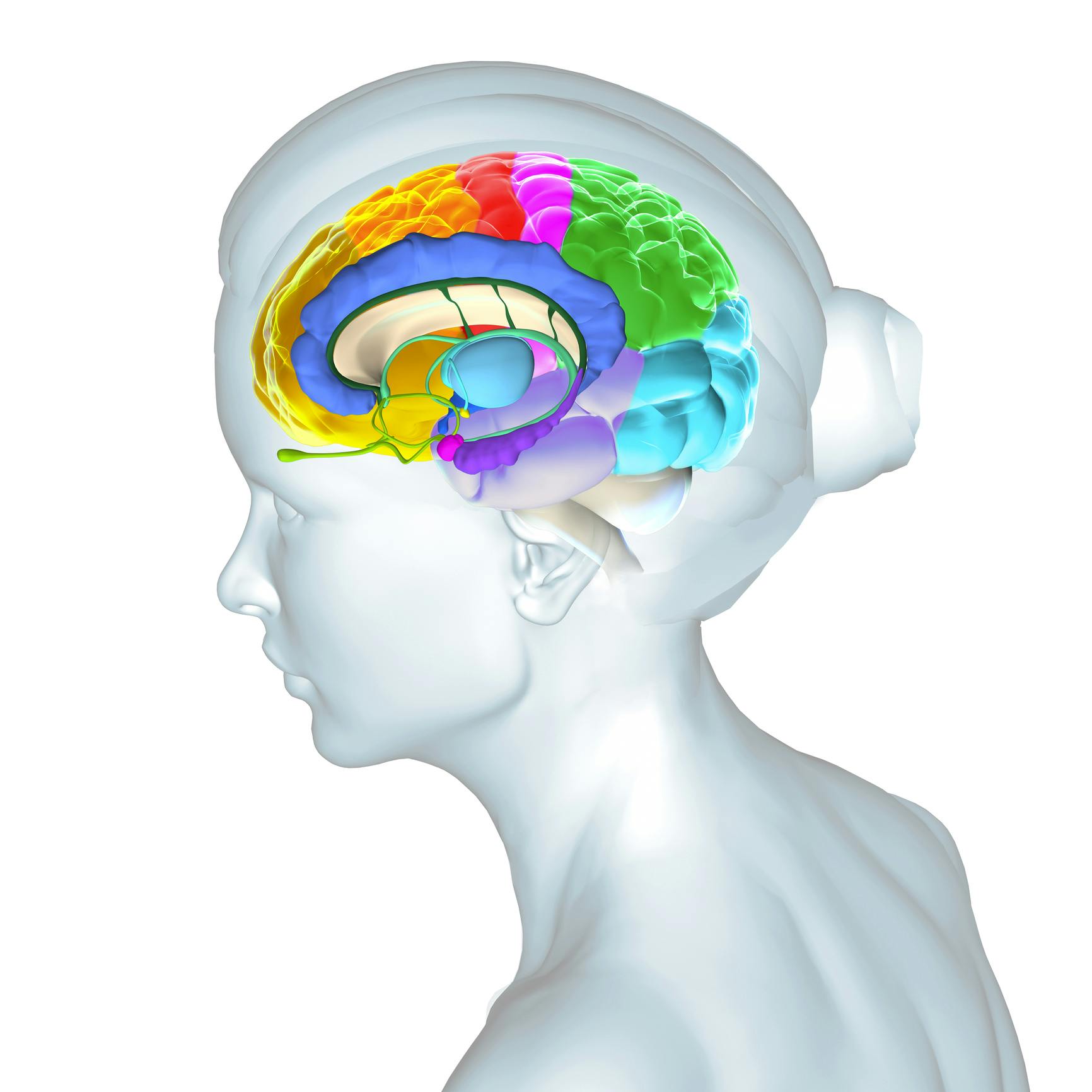 glemsk, glemsel, dårlig hukommelse glemsk, glemsel, dårlig hukommelse